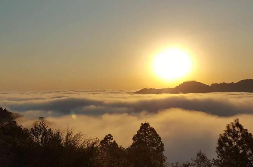 Szálloda Plaza San Carlos