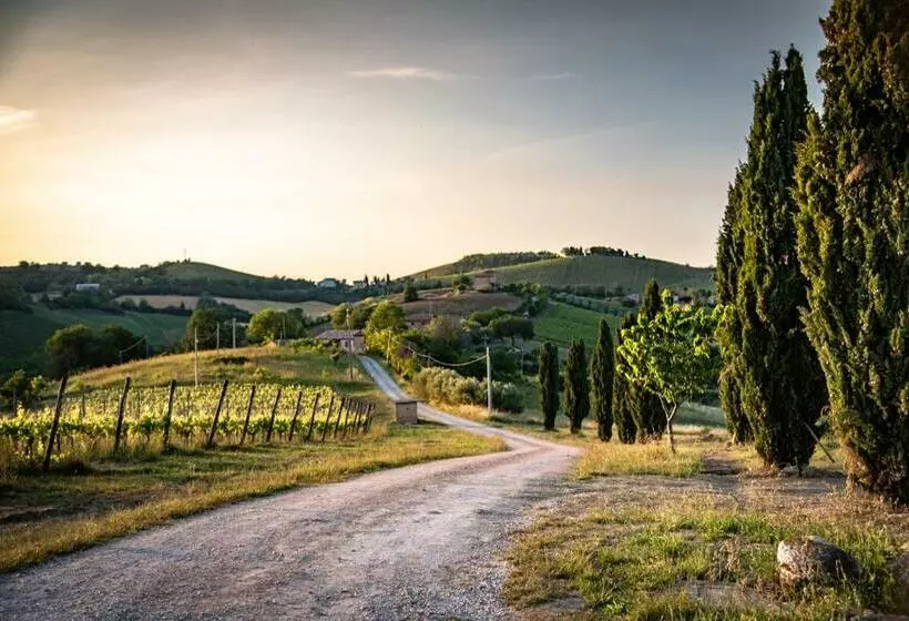 Recchi Franceschini Bike Hotel Last   Minute   Availability