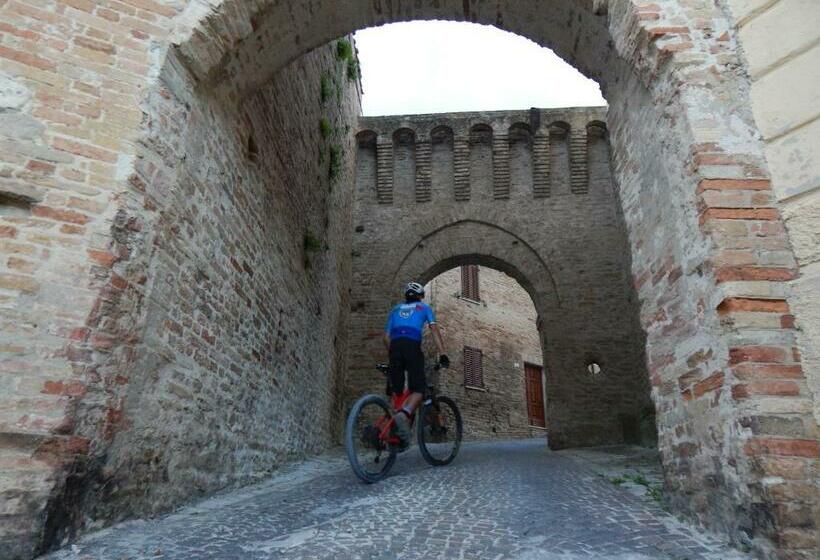 Recchi Franceschini Bike Hotel Last   Minute   Availability