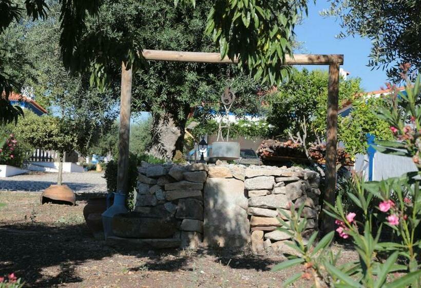 بنسيون A Palhota