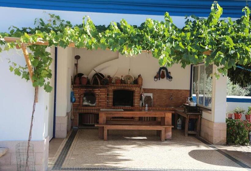 بنسيون A Palhota