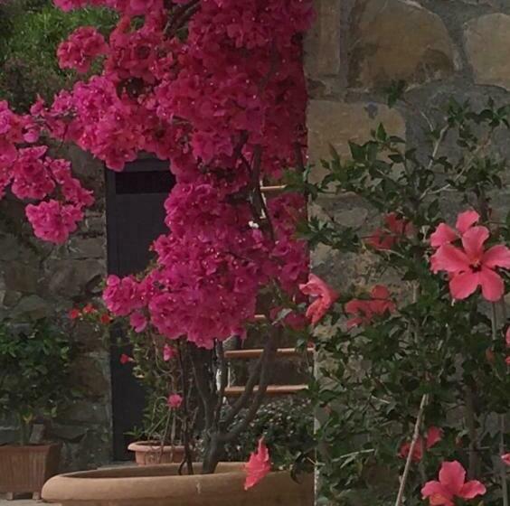 민박 Villa Ludoniccò