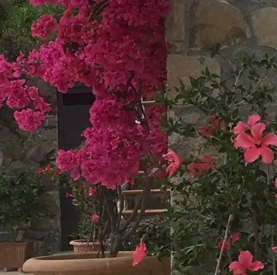 Aamiaismajoitus (B&B) Villa Ludoniccò