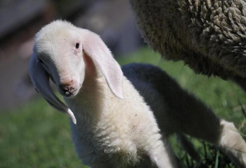 هتل Sule Hof Agriturismo