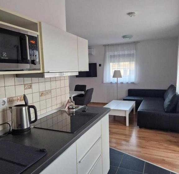 Pensjonat Nefelejcs Vendégház