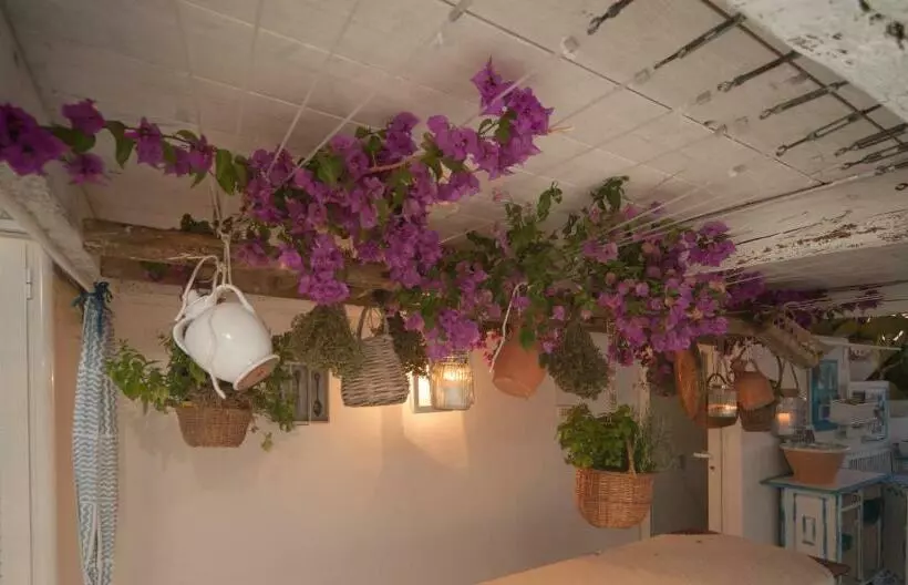 Aamiaismajoitus (B&B) Portadamare