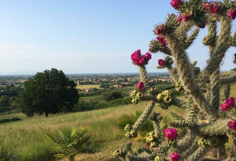 Bed and Breakfast Villa Dell  Artista   Villa Anna