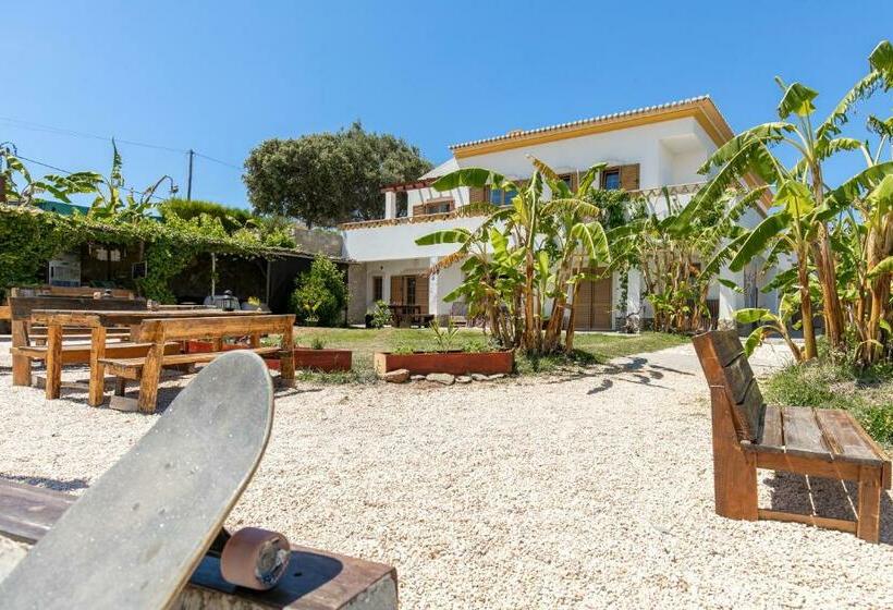 بنسيون Boa Vida Guest House