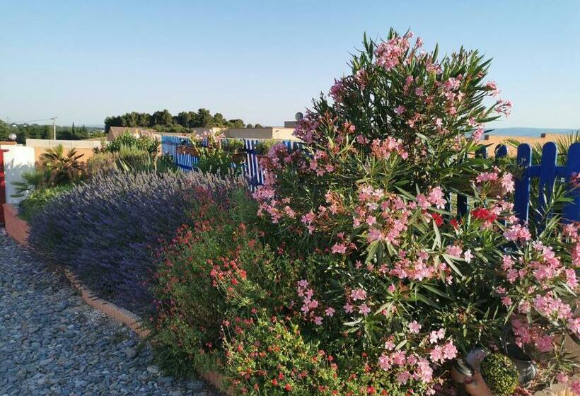 膳宿费 Cathares Holidays