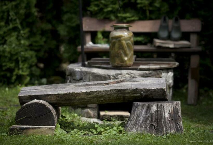 膳宿费 ács Kúria