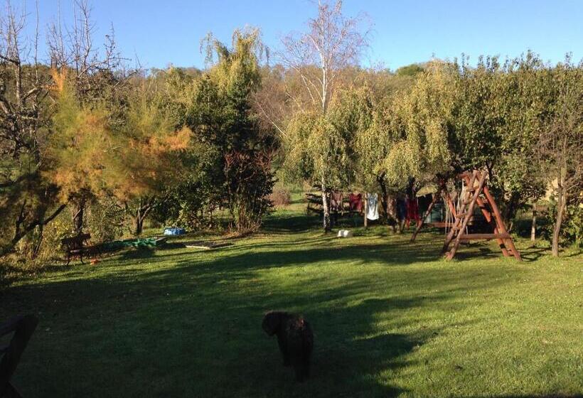 膳宿费 ács Kúria