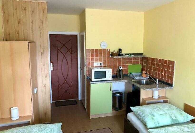 Panzió Galas Ubytovani V Soukromi