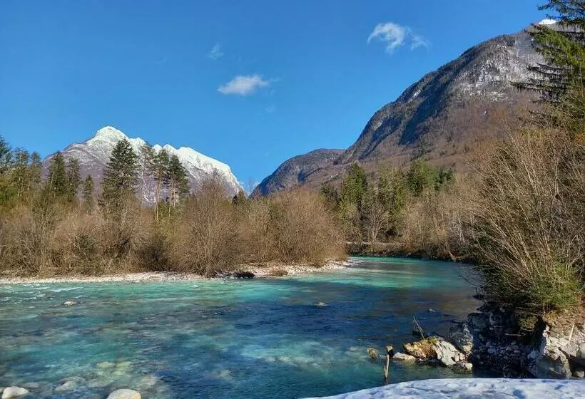 پانسیون Guest House Vila Korošec