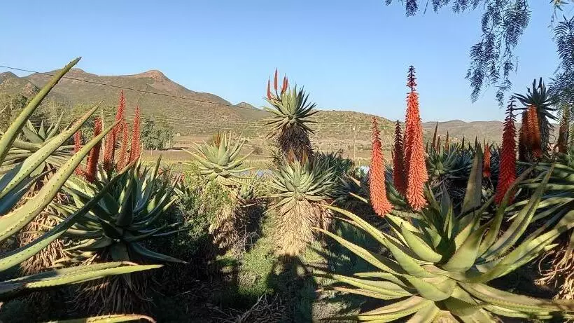 Majatalo Koedoeskloof Guesthouse