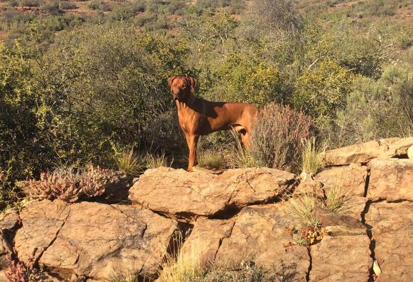 ペンション Koedoeskloof Guesthouse