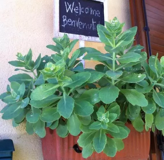 B&b Il Portico Del Conte