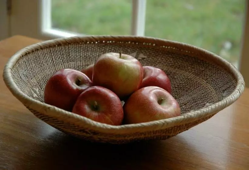 Aamiaismajoitus (B&B) Field Cottage Bed And Continental Breakfast