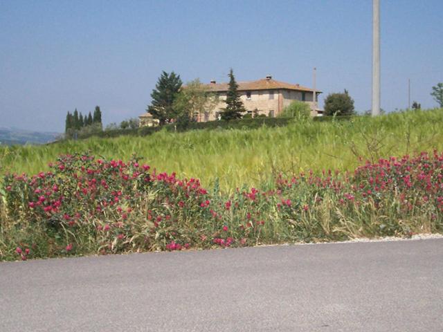 فندق Agriturismo Il Torrione