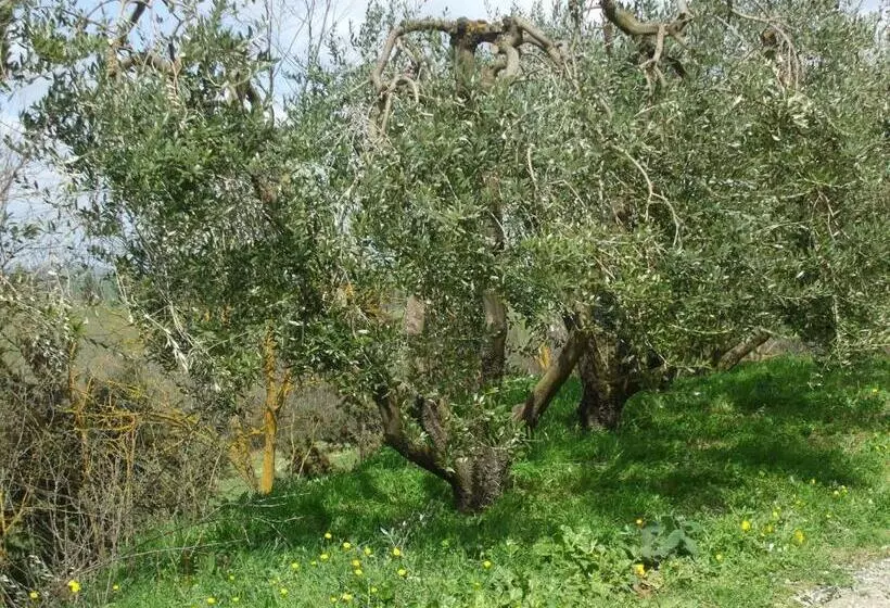 Hotelli Agriturismo Il Torrione