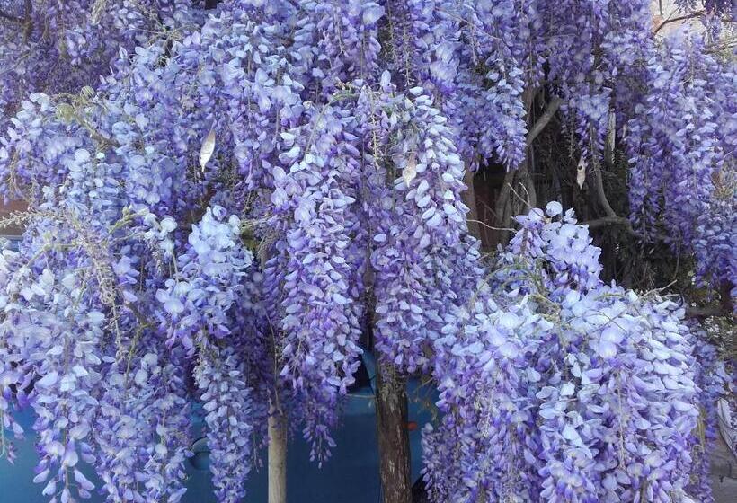 فندق Agriturismo Il Torrione