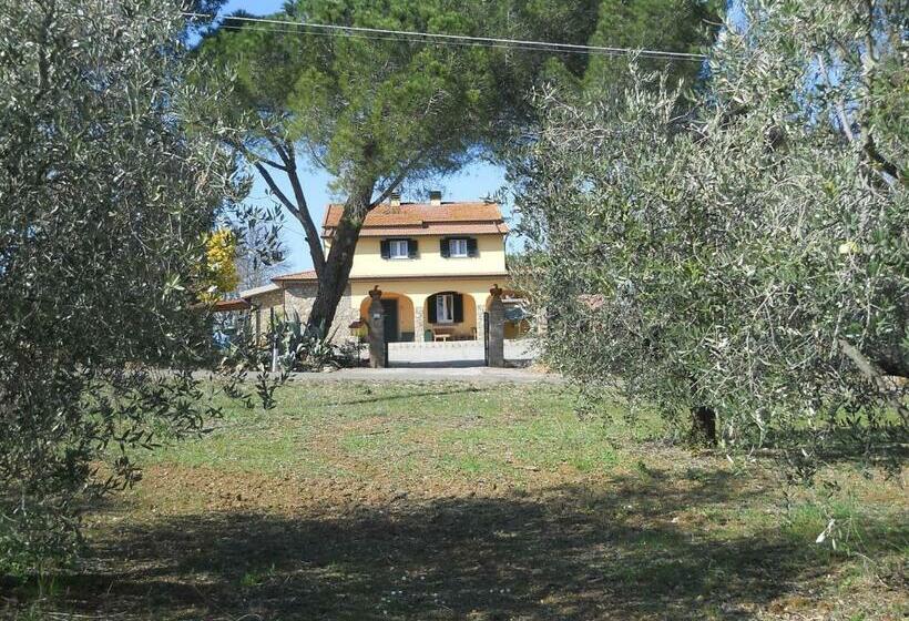 فندق Agriturismo Poggio Sassineri