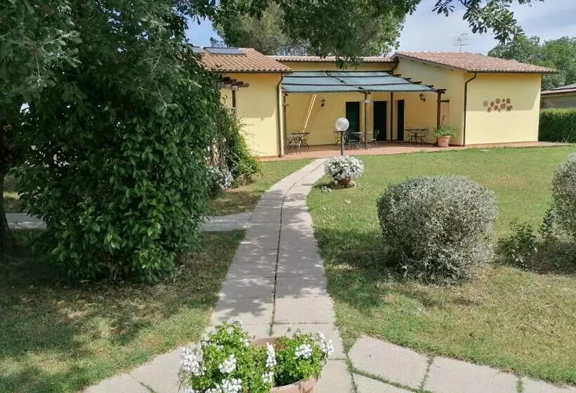 ホテル Agriturismo Poggio Sassineri