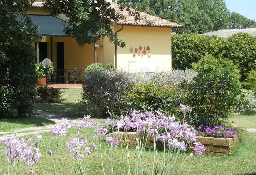 ホテル Agriturismo Poggio Sassineri