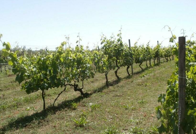 فندق Agriturismo Poggio Sassineri