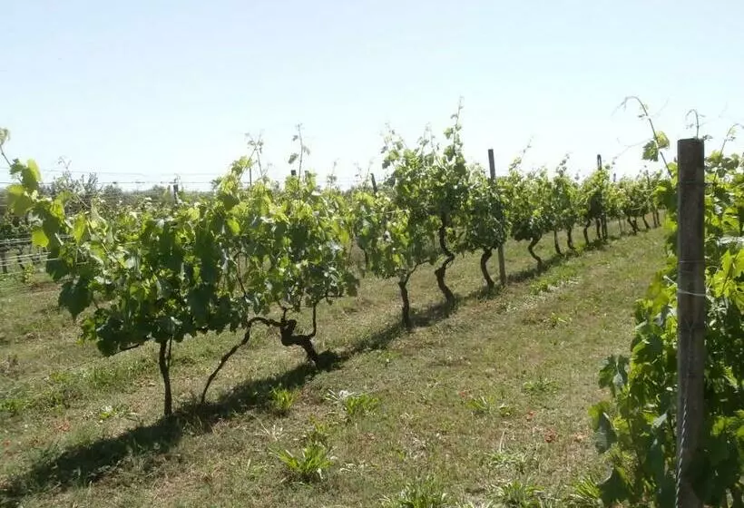 ホテル Agriturismo Poggio Sassineri