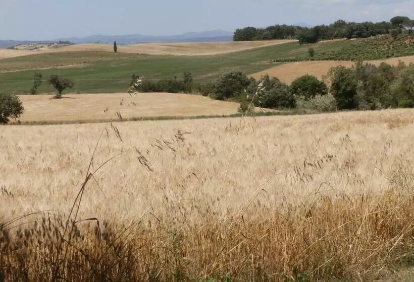 ホテル Agriturismo Poggio Sassineri