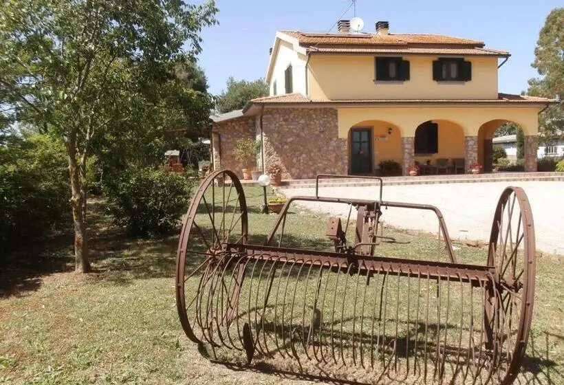 ホテル Agriturismo Poggio Sassineri