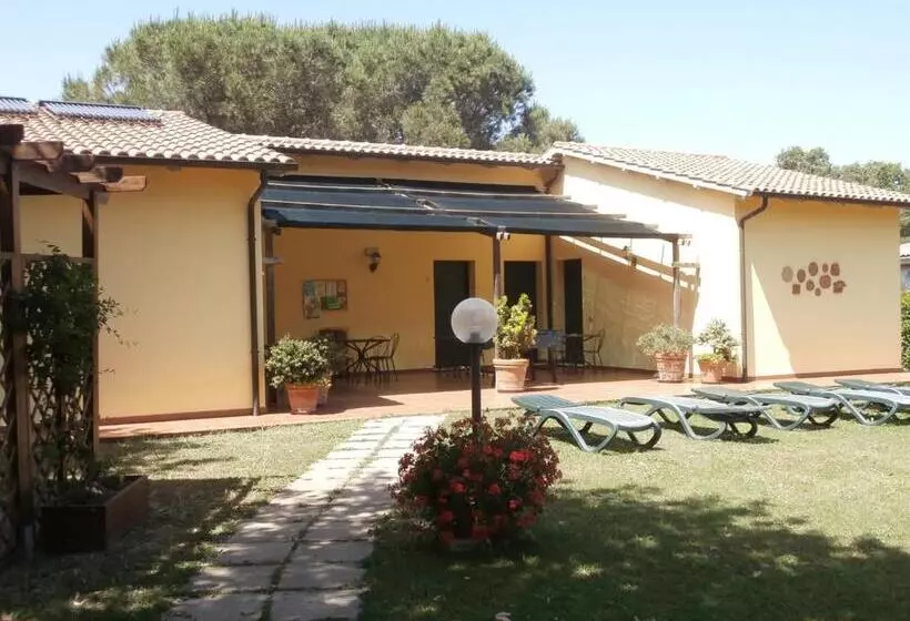 ホテル Agriturismo Poggio Sassineri