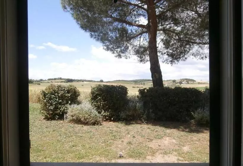 ホテル Agriturismo Poggio Sassineri