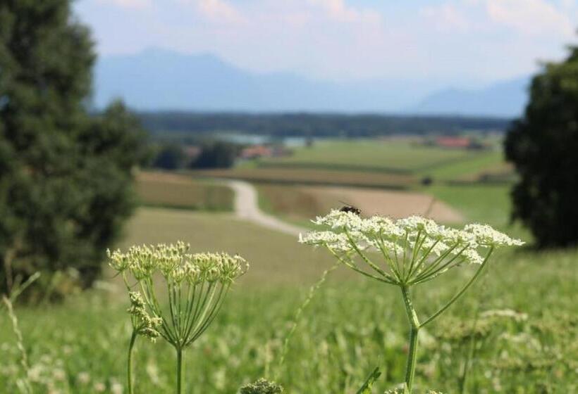 ホテル Ferienhof Moyer