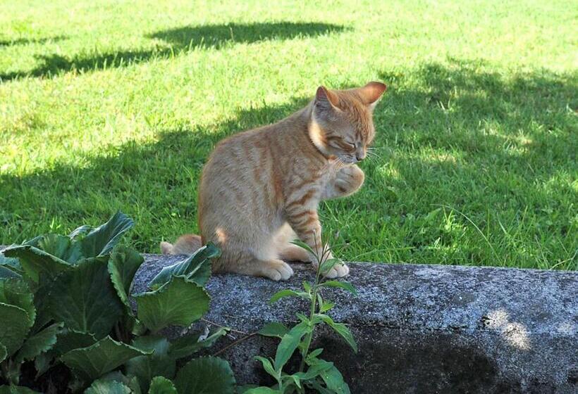 ホテル Ferienhof Moyer