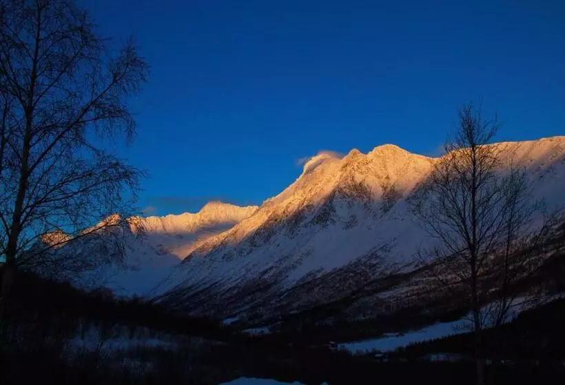Majatalo Lyngseidet Gjestegård As