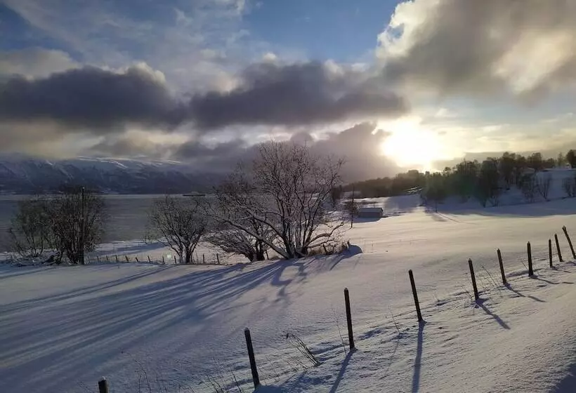 Majatalo Lyngseidet Gjestegård As