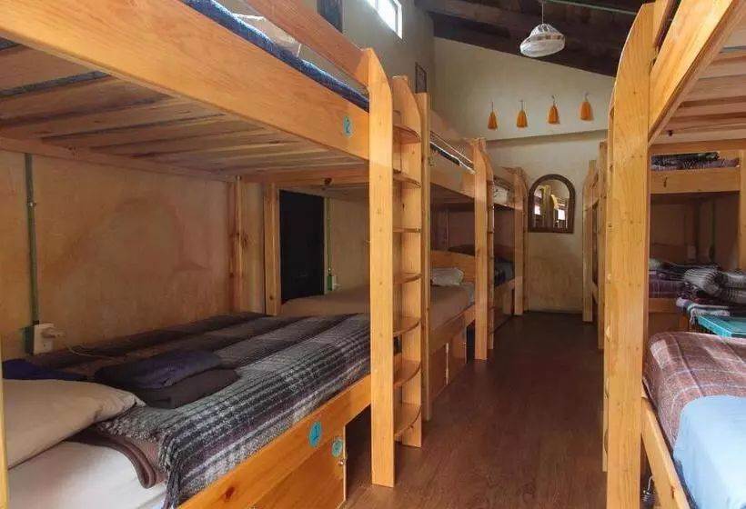 ユースホステル Posada Del Abuelito