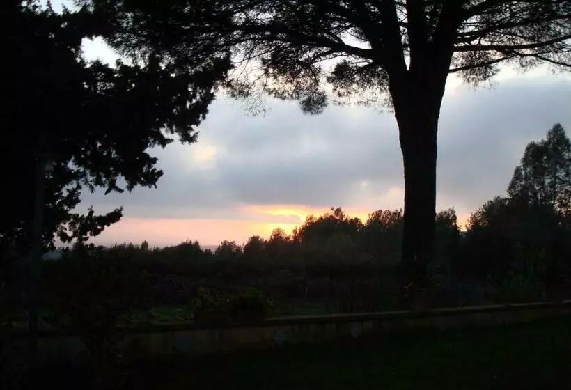 تختخواب و صبحانه Ai Cipressi