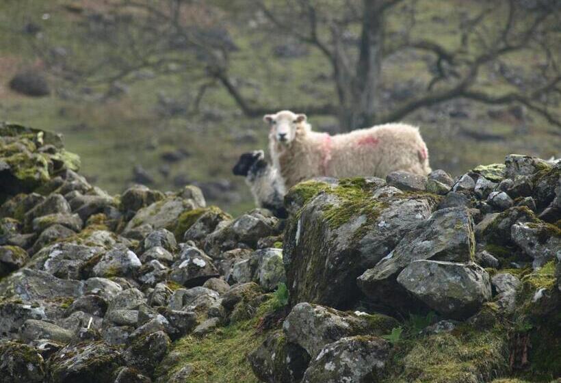 住宿加早餐  Barn Gill House