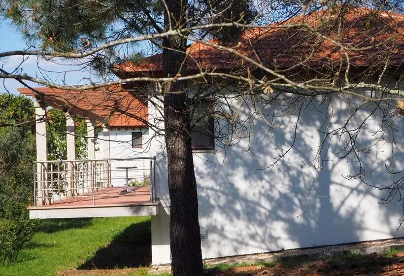 Aamiaismajoitus (B&B) Quinta Vale Porcacho