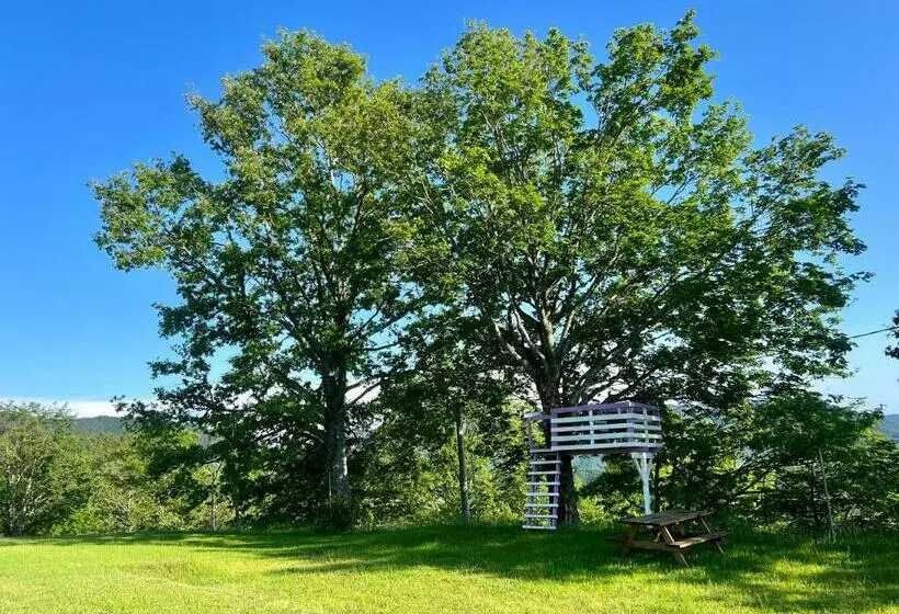 ホテル Agriturismo Il Serrino