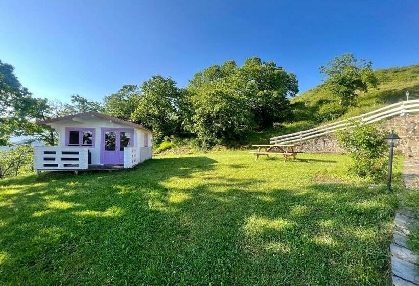 호텔 Agriturismo Il Serrino