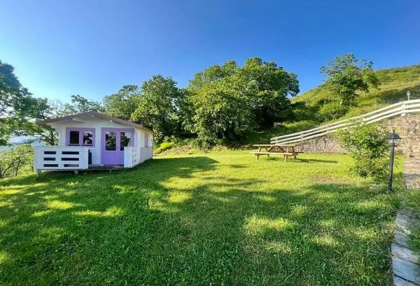 ホテル Agriturismo Il Serrino