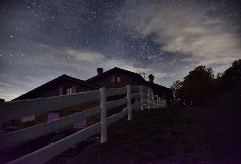 호텔 Agriturismo Il Serrino