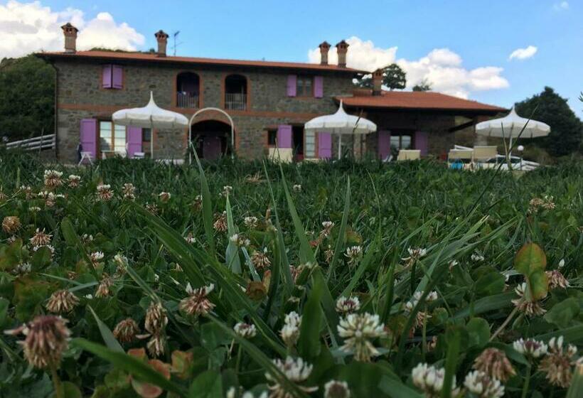 호텔 Agriturismo Il Serrino