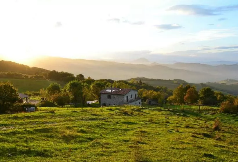 ホテル Fattoria Bio L A Ceccoli