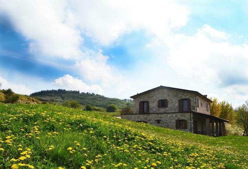 בית מלון כפרי Fattoria Bio L A Ceccoli