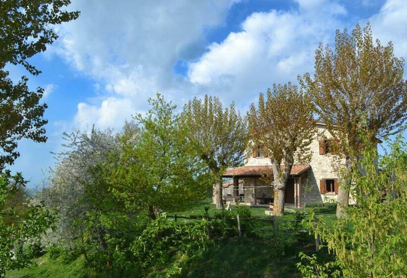 בית מלון כפרי Fattoria Bio L A Ceccoli