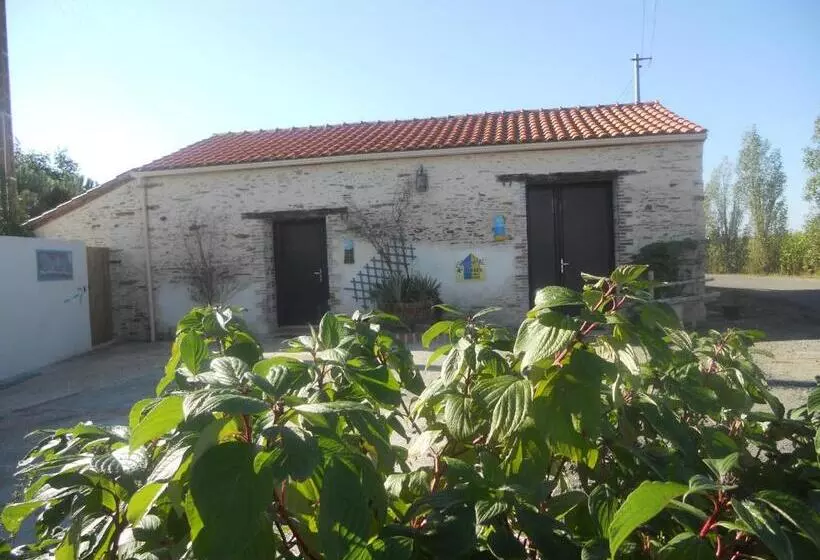 Majatalo Chambres D Hôtes Dinedort